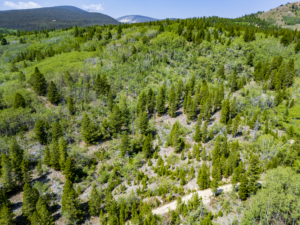 Dearlodge, MT, Brown Jonathan Chase 2 Drone-01