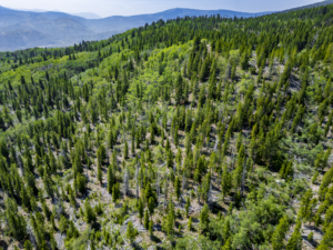 Dearlodge, MT, Brown Jonathan Chase 2 Drone-02