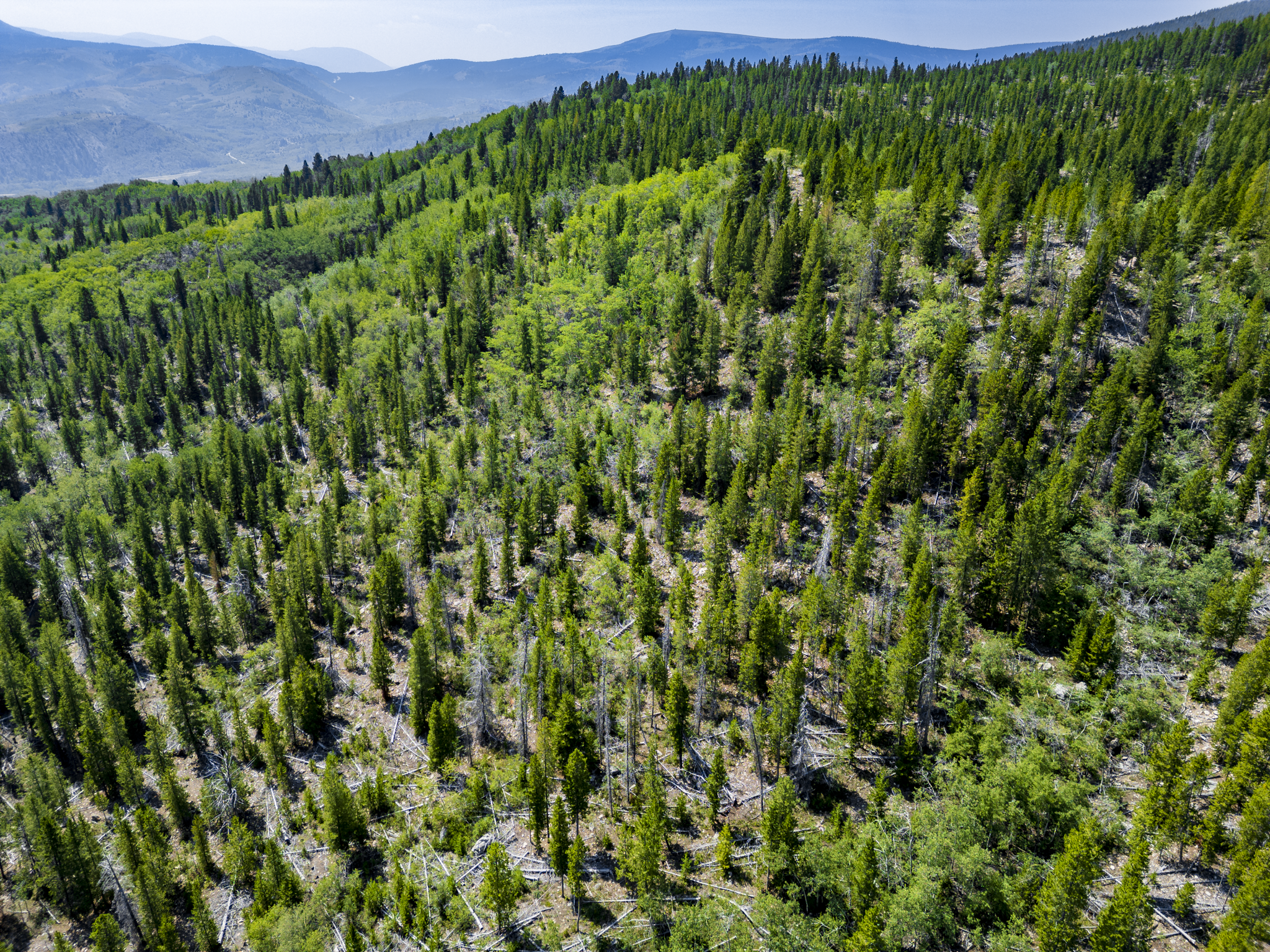 Dearlodge, MT, Brown Jonathan Chase 2 Drone-02