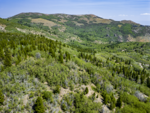 Dearlodge, MT, Brown Jonathan Chase 2 Drone-04