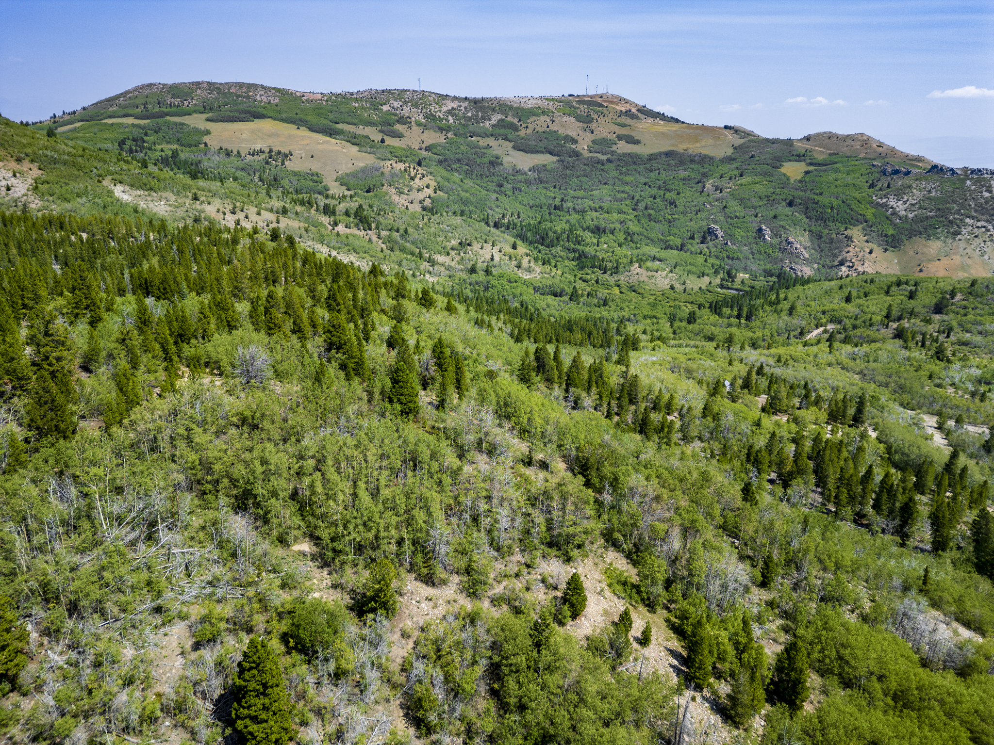 Dearlodge, MT, Brown Jonathan Chase 2 Drone-04