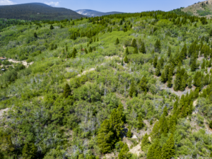 Dearlodge, MT, Brown Jonathan Chase 2 Drone-11