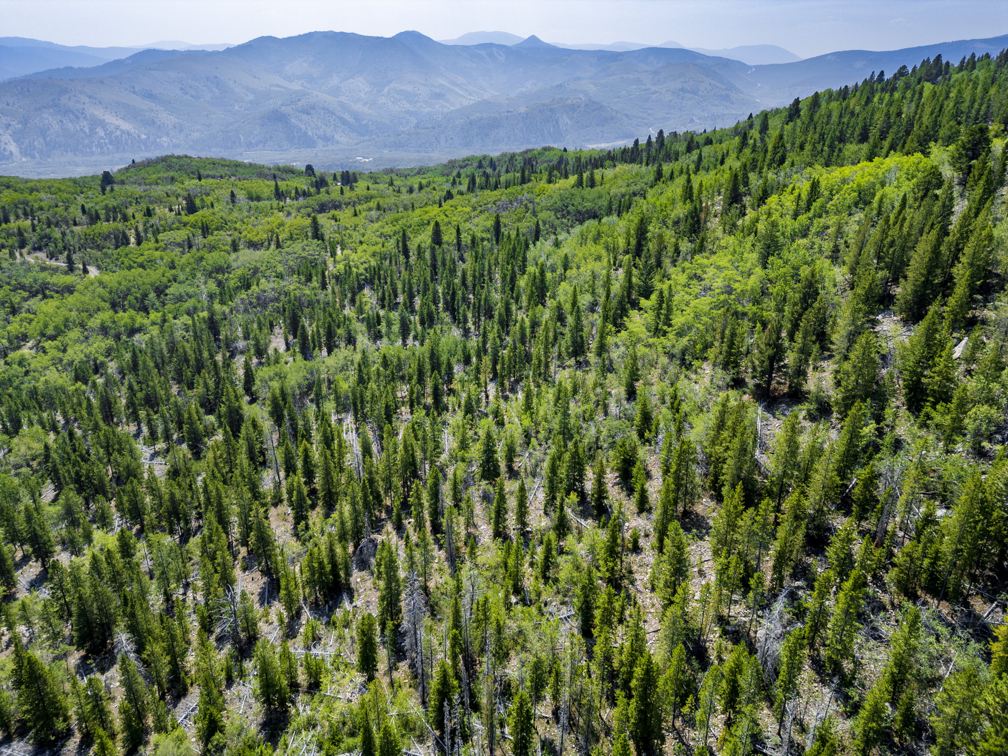 Dearlodge, MT, Brown Jonathan Chase 2 Drone-12