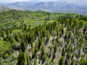 Dearlodge, MT, Brown Jonathan Chase 2 Drone-13