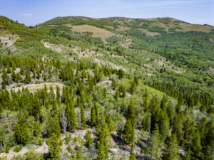 Dearlodge, MT, Brown Jonathan Chase 2 Drone-14