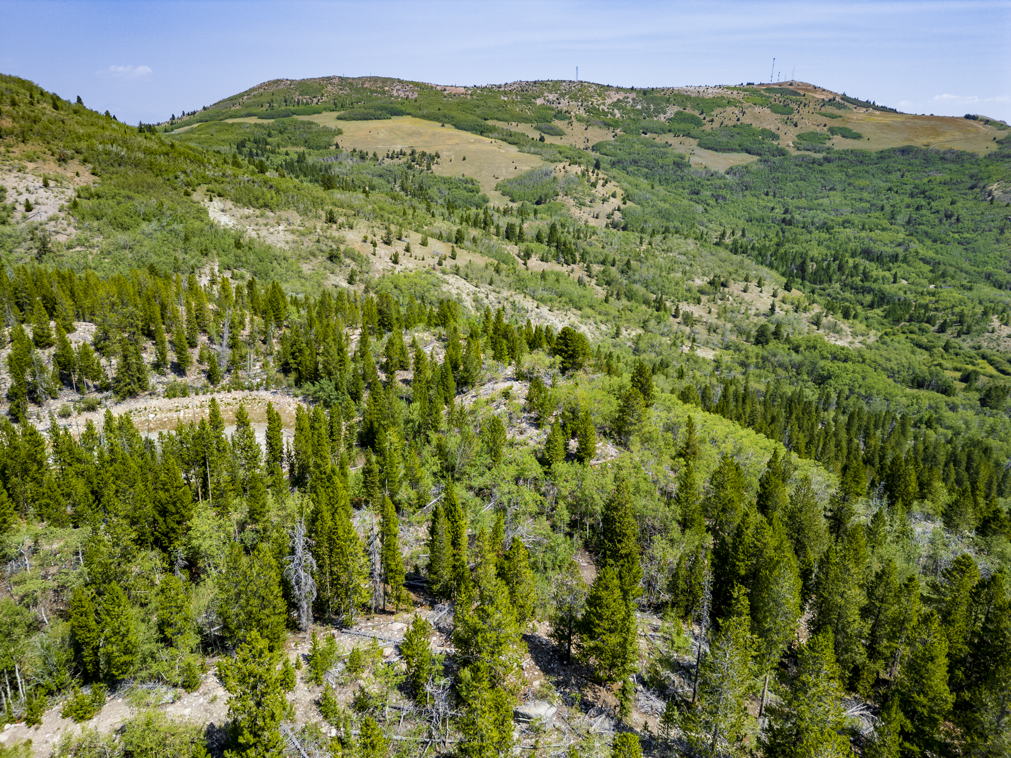 Dearlodge, MT, Brown Jonathan Chase 2 Drone-14