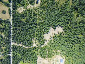 Sander, MT, Keglovich Drone-04b