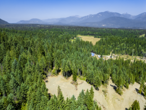Sander, MT, Keglovich Drone-17