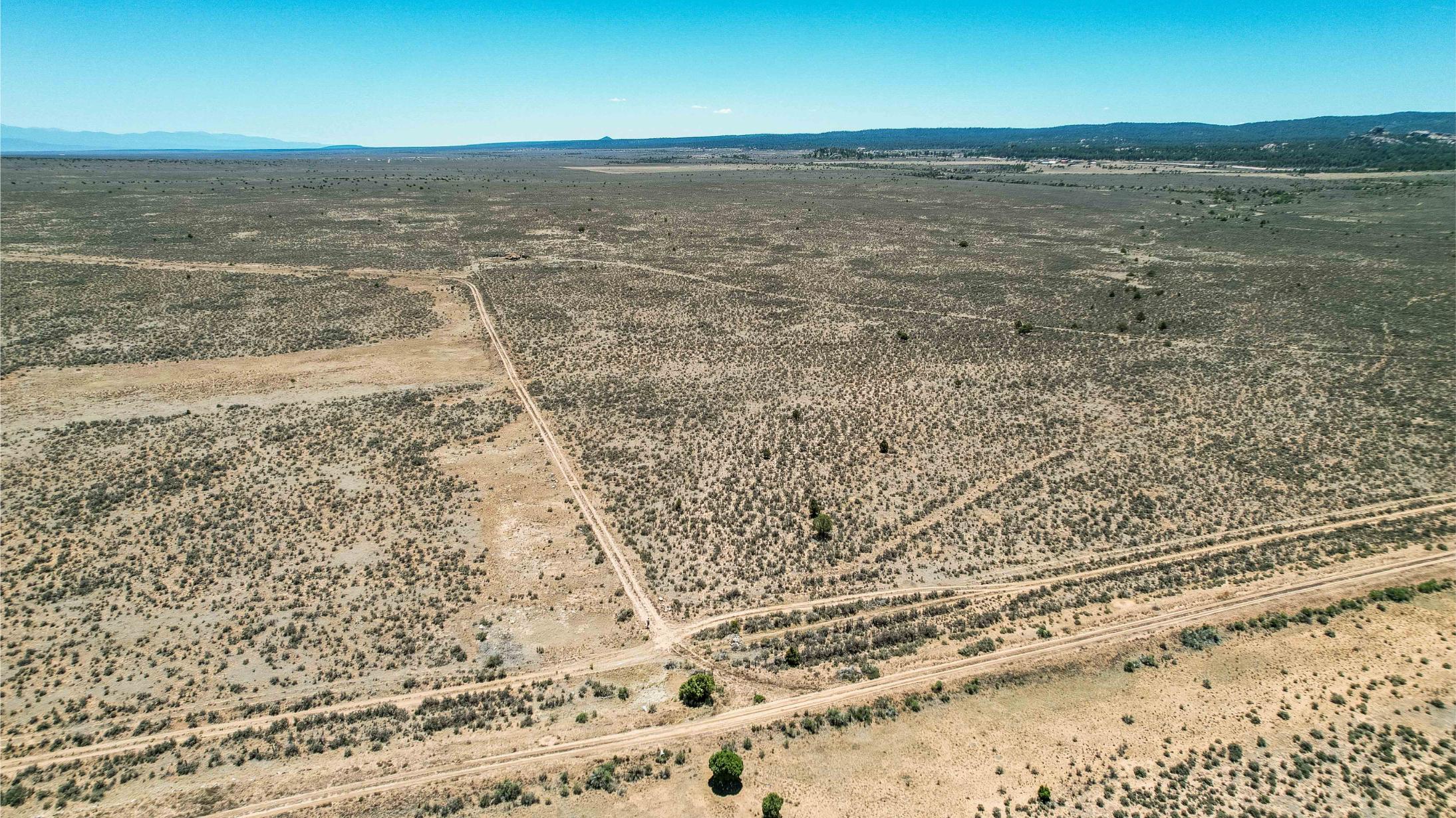 Taos 80 Acre-13