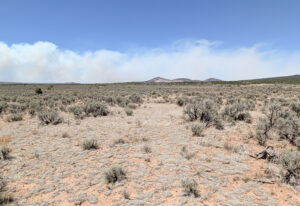 Taos 80 Acre-43