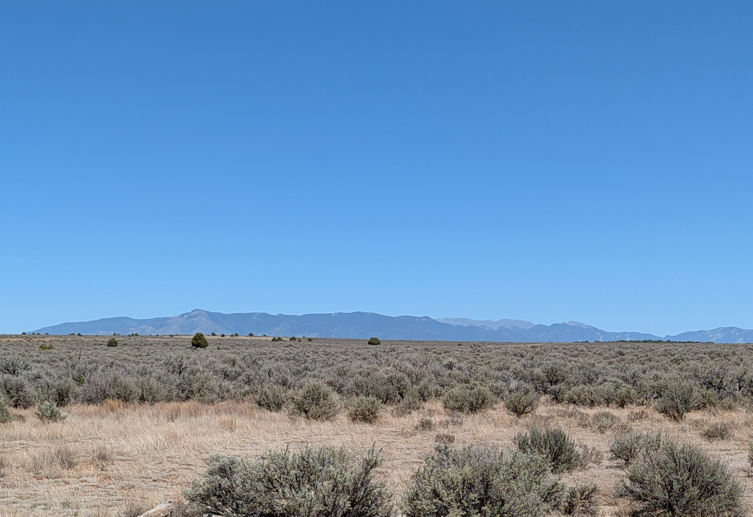 Taos 80 Acre-47