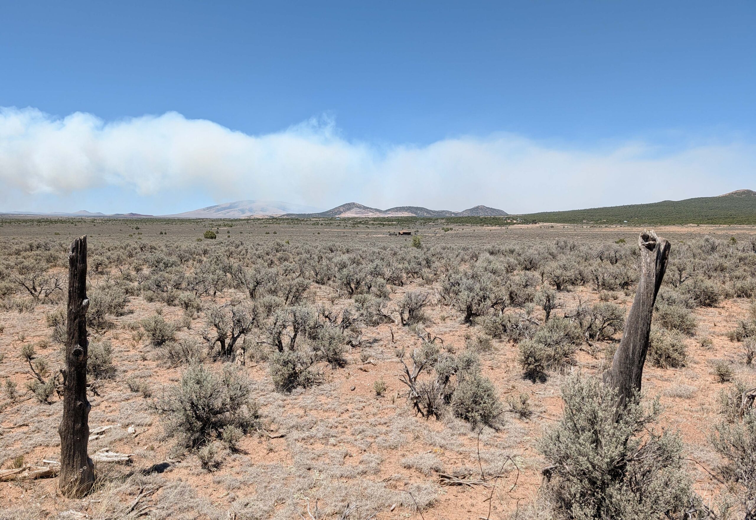 Taos 80 Acre-50