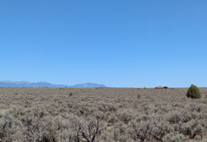 Taos 80 Acre-82