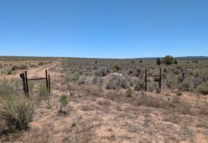 Taos 80 Acre-9