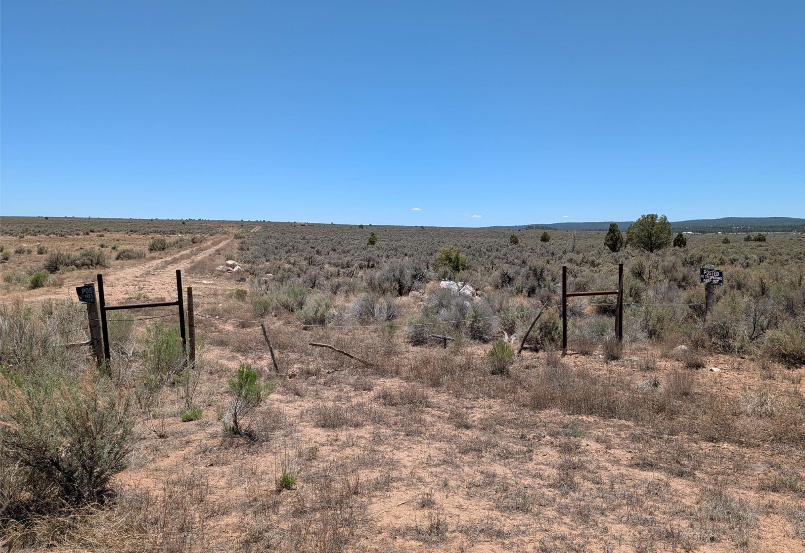Taos 80 Acre-9