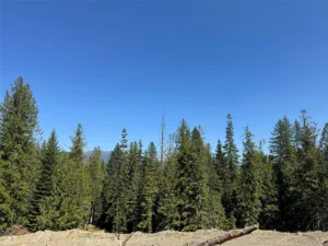 c4776c1ddf9422a934bab472574de404-uncropped_scaled_within_1536_1152