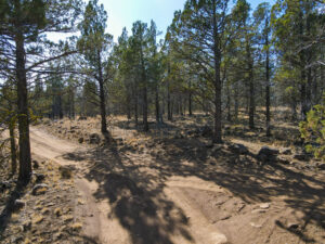 Andrews Rd_001