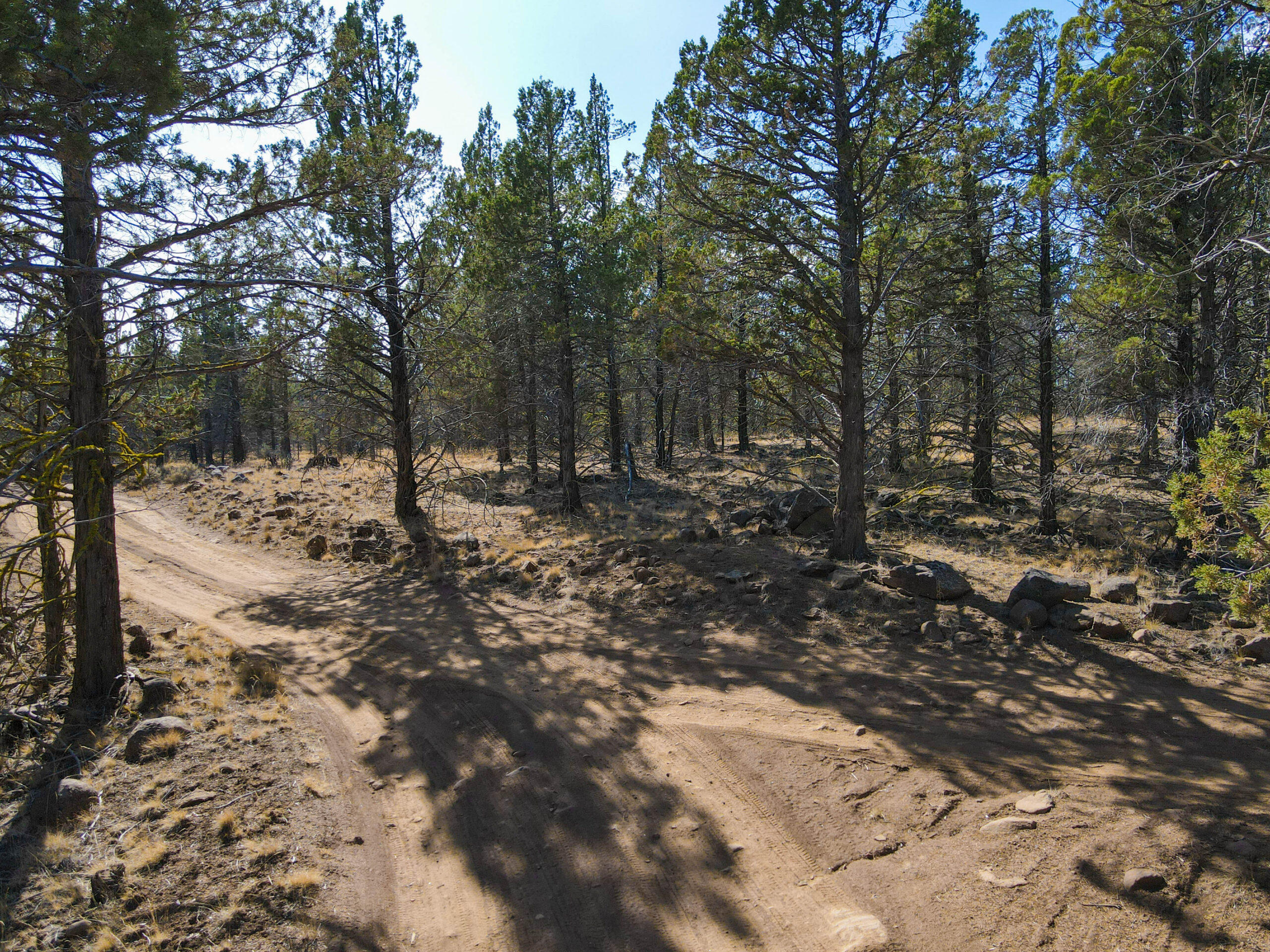 Andrews Rd_001