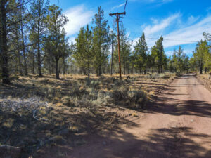 Andrews Rd_005