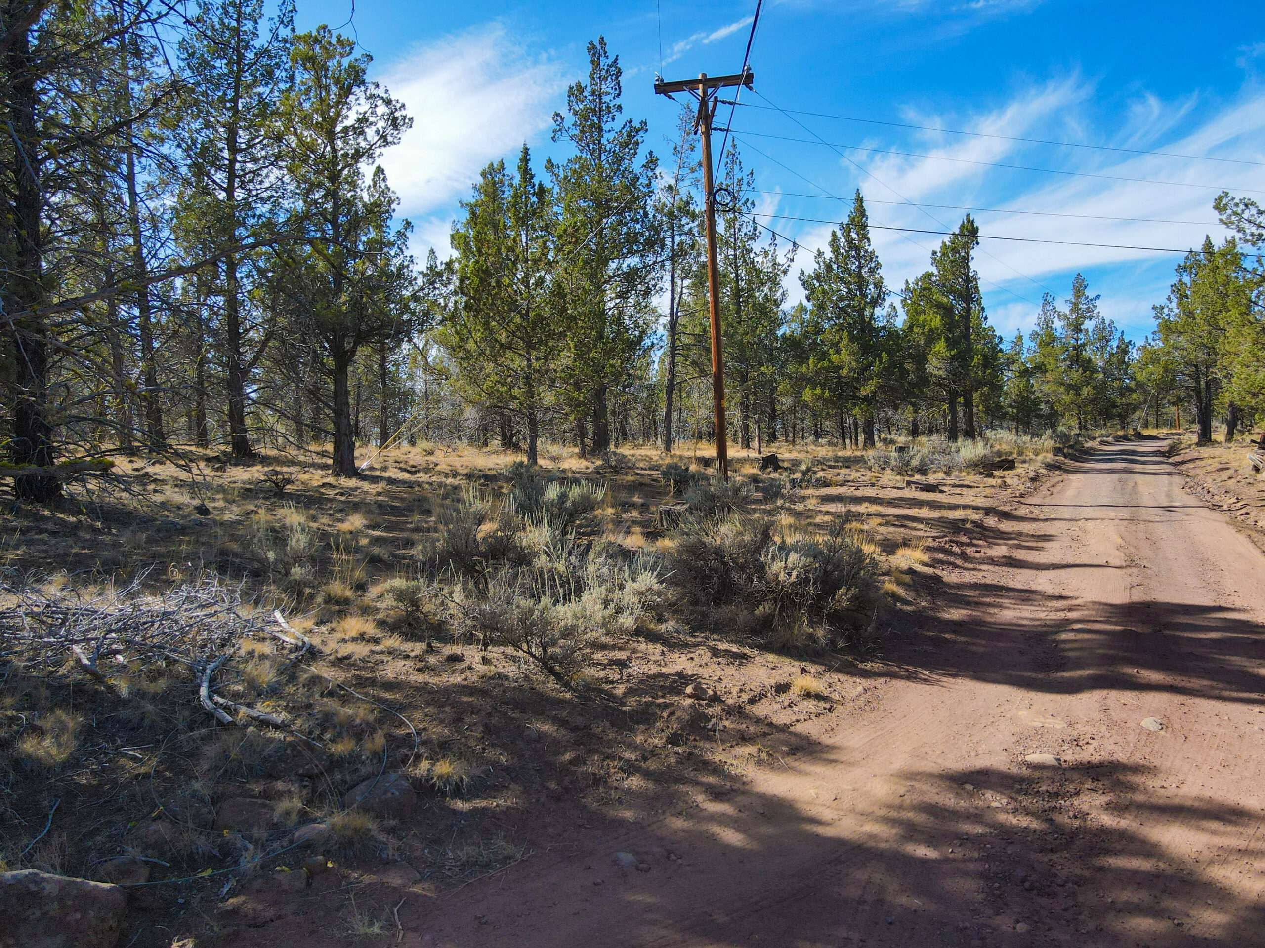 Andrews Rd_005
