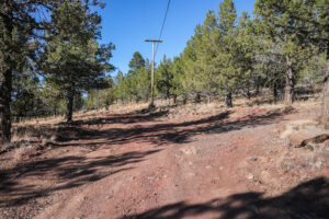Andrews Rd_008