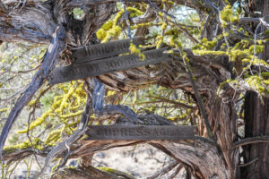Andrews Rd_009