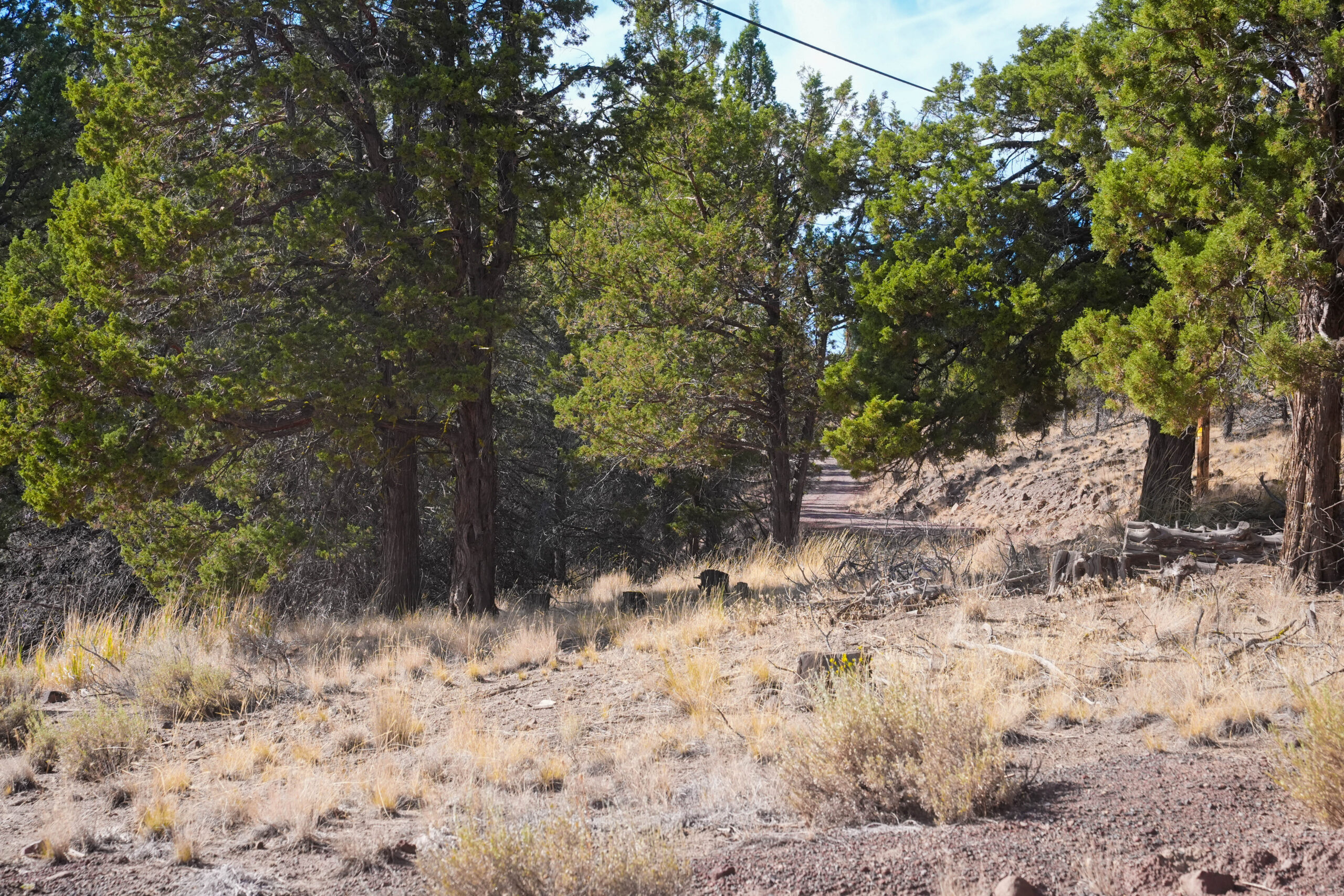 Andrews Rd_011