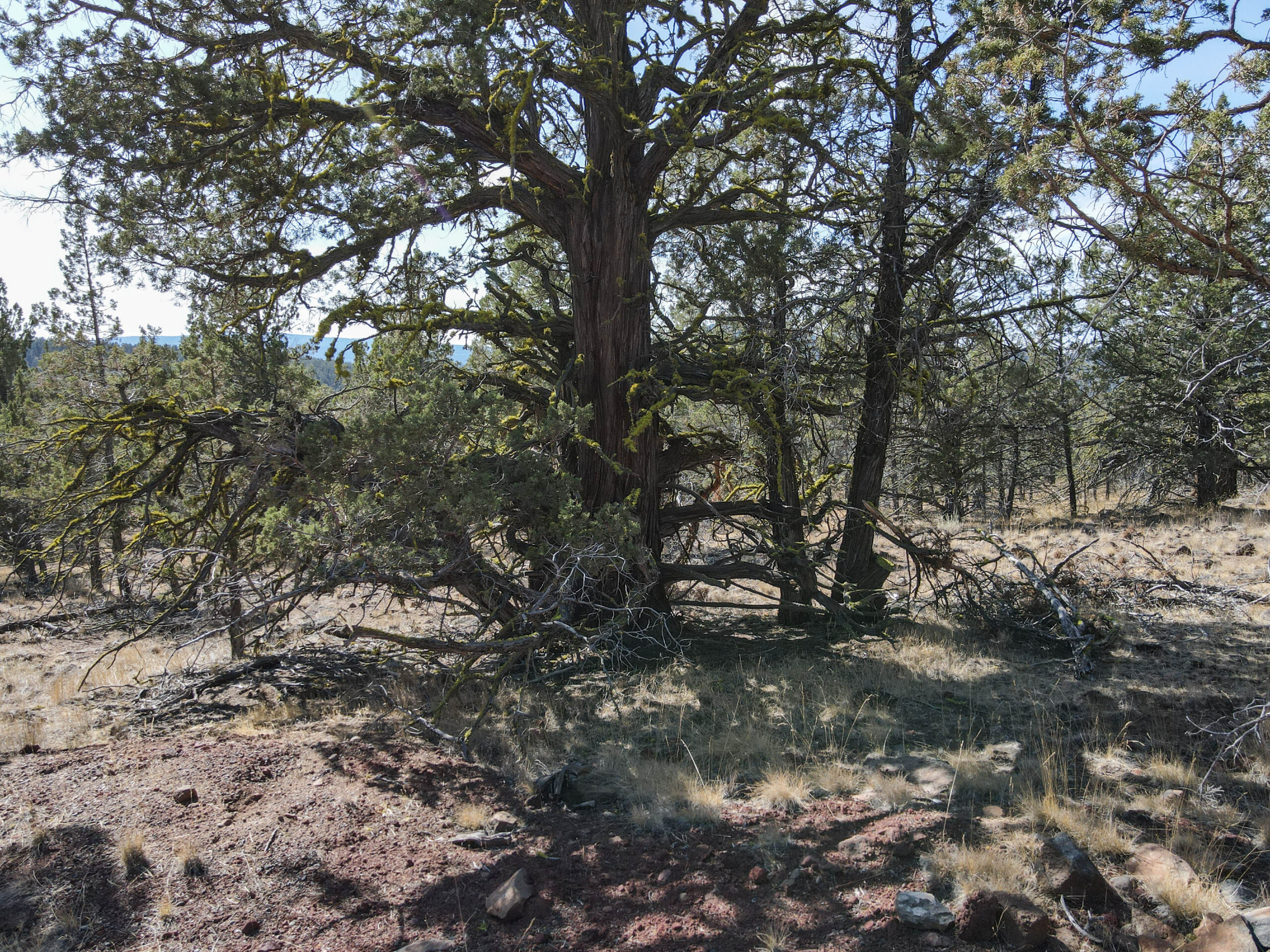 Andrews Rd_015