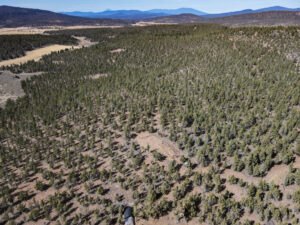 Andrews Rd_033