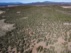 Andrews Rd_034