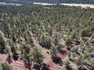 Andrews Rd_035