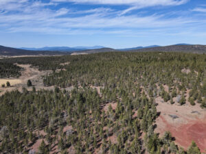 Andrews Rd_039