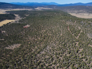 Andrews Rd_050