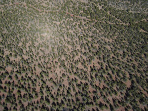 Andrews Rd_052