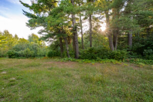 CraneLake26-13