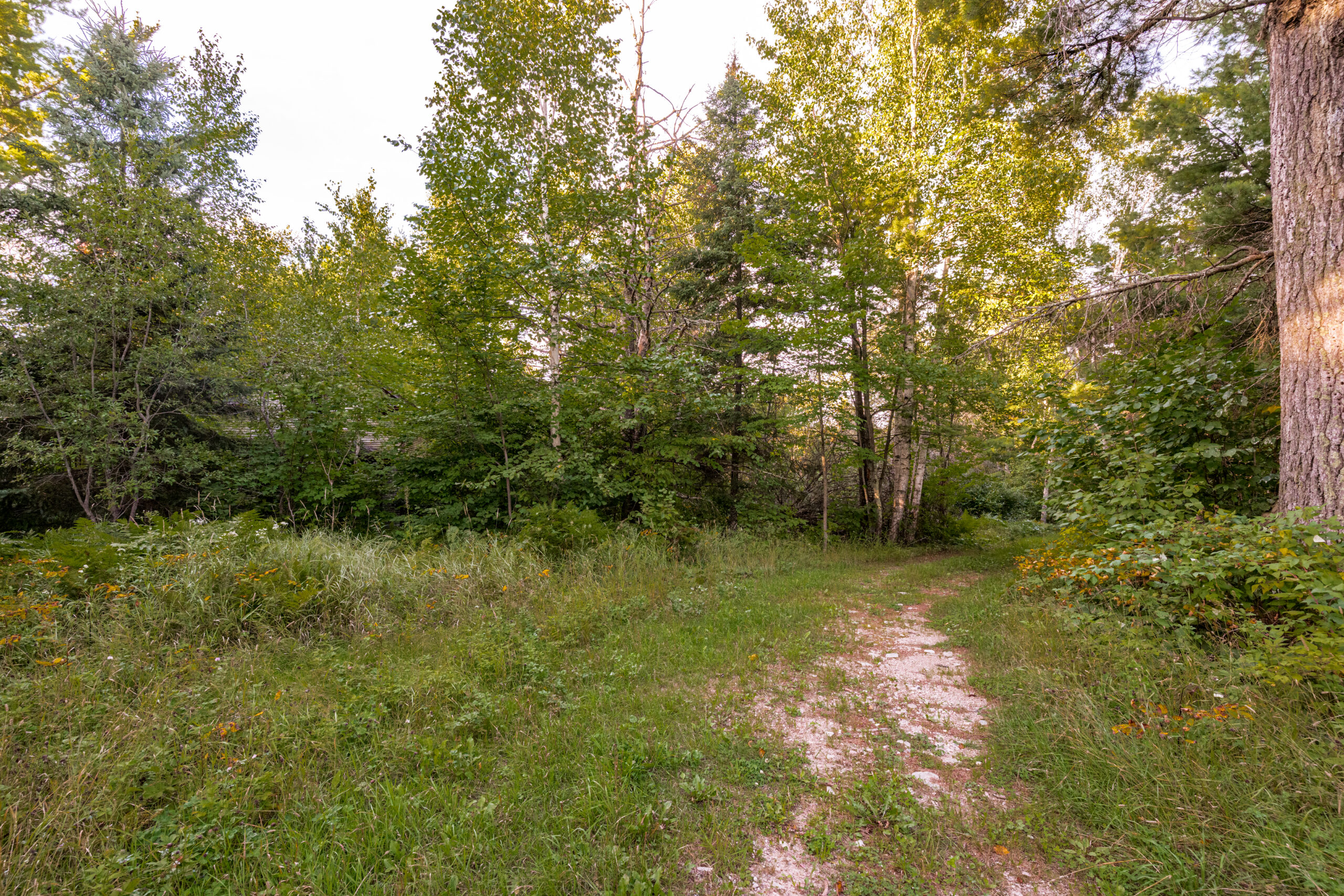 CraneLake26-14