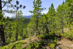 Fergus, MT, Hajenga-05