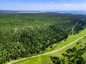 Fergus, MT, Hajenga Drone-06