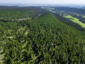 Fergus, MT, Hajenga Drone-10