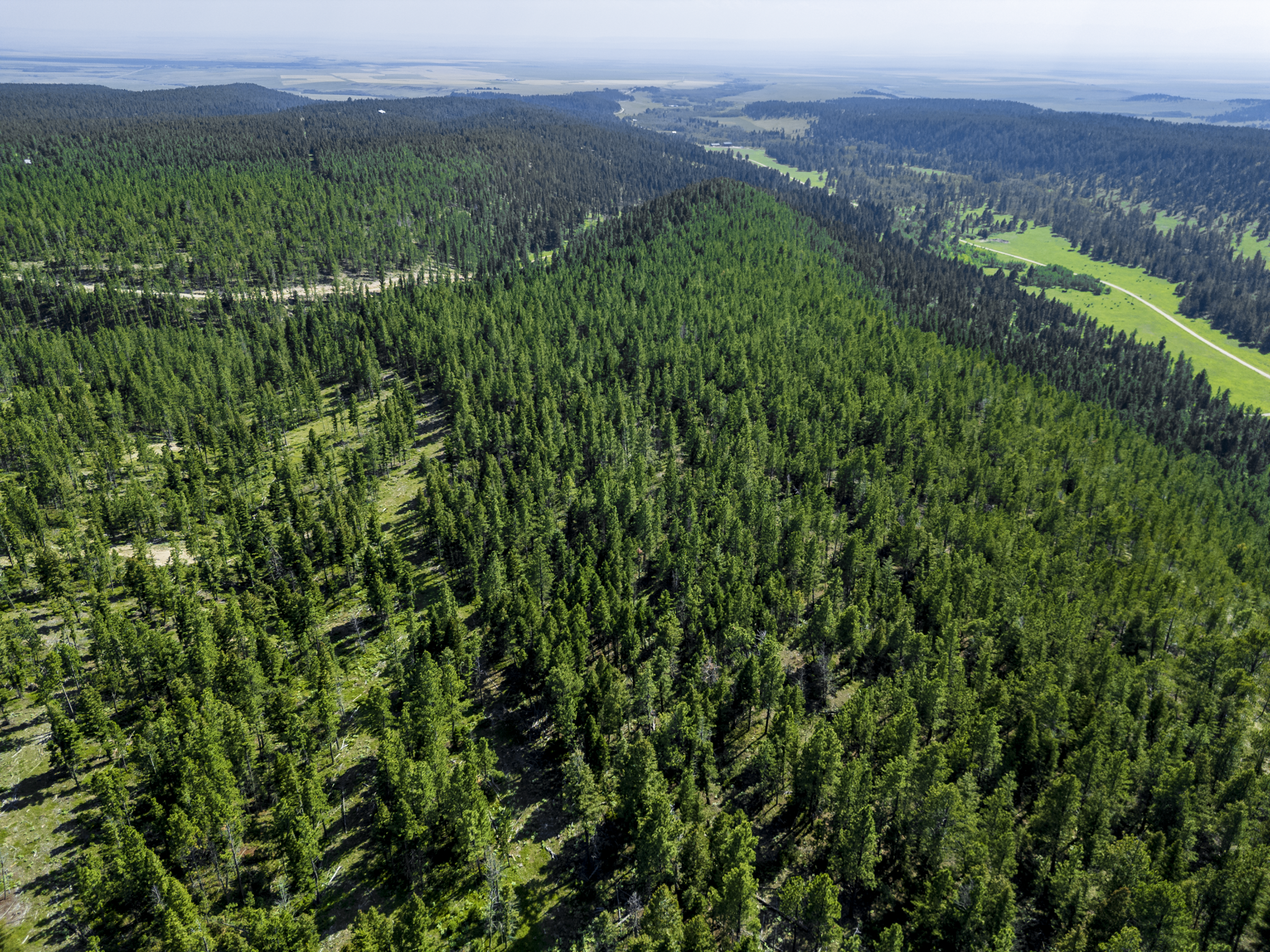 Fergus, MT, Hajenga Drone-10