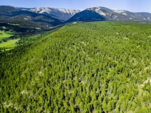 Fergus, MT, Hajenga Drone-11