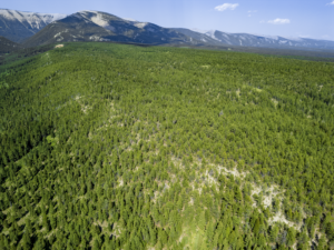 Fergus, MT, Hajenga Drone-12