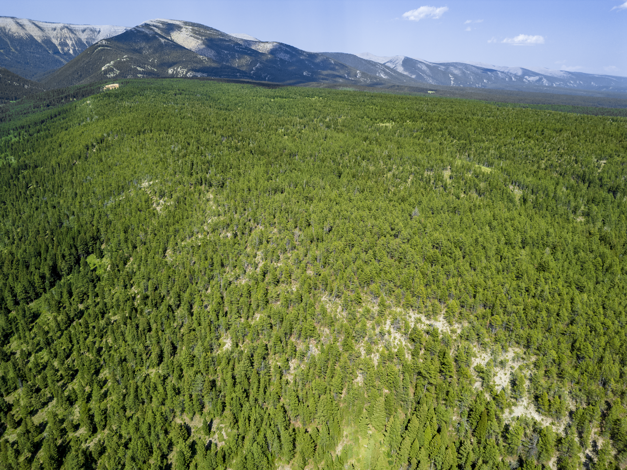 Fergus, MT, Hajenga Drone-12