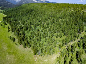 Fergus, MT, Hajenga Drone-13