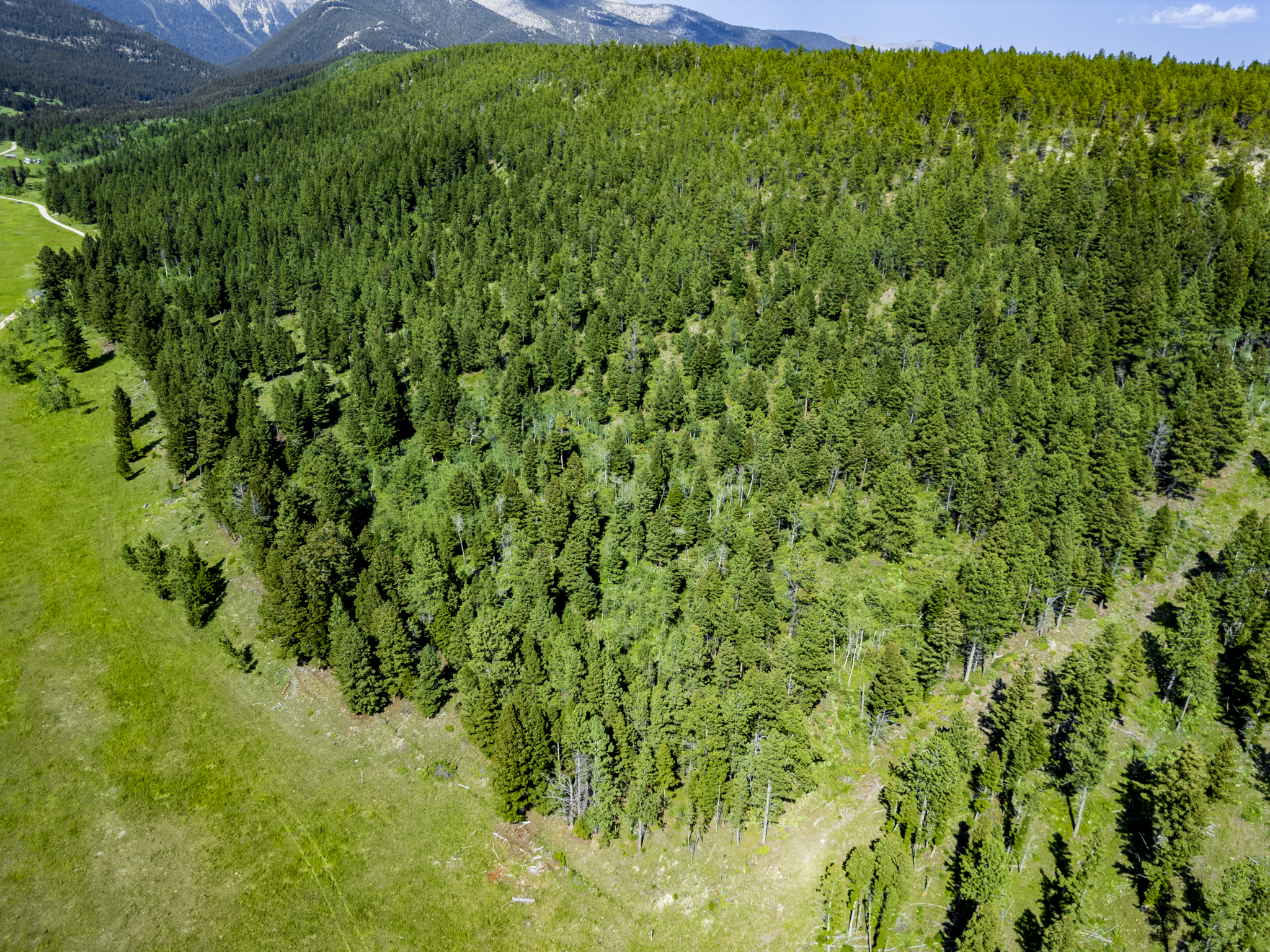 Fergus, MT, Hajenga Drone-13