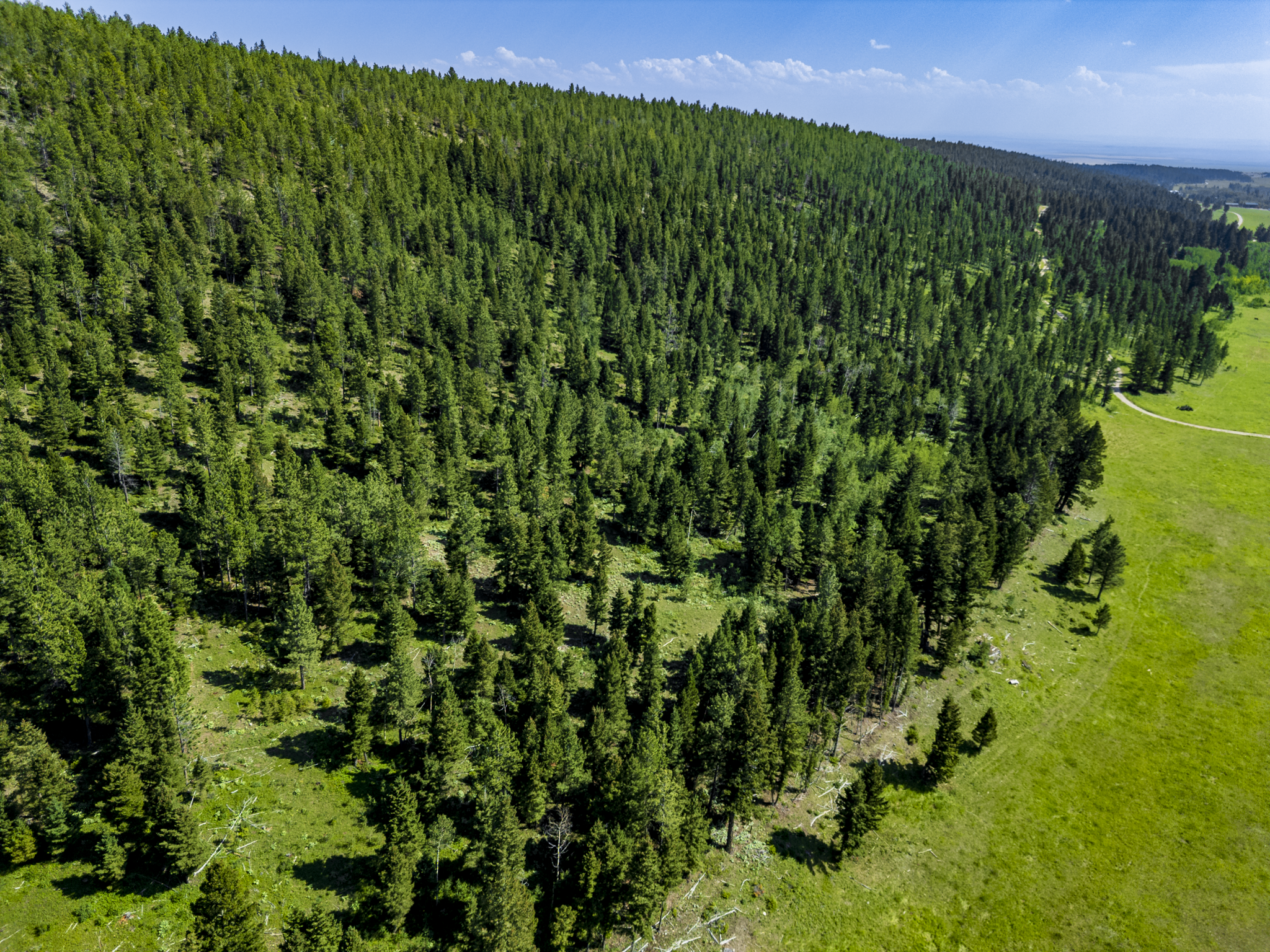 Fergus, MT, Hajenga Drone-14