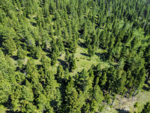 Fergus, MT, Hajenga Drone-15