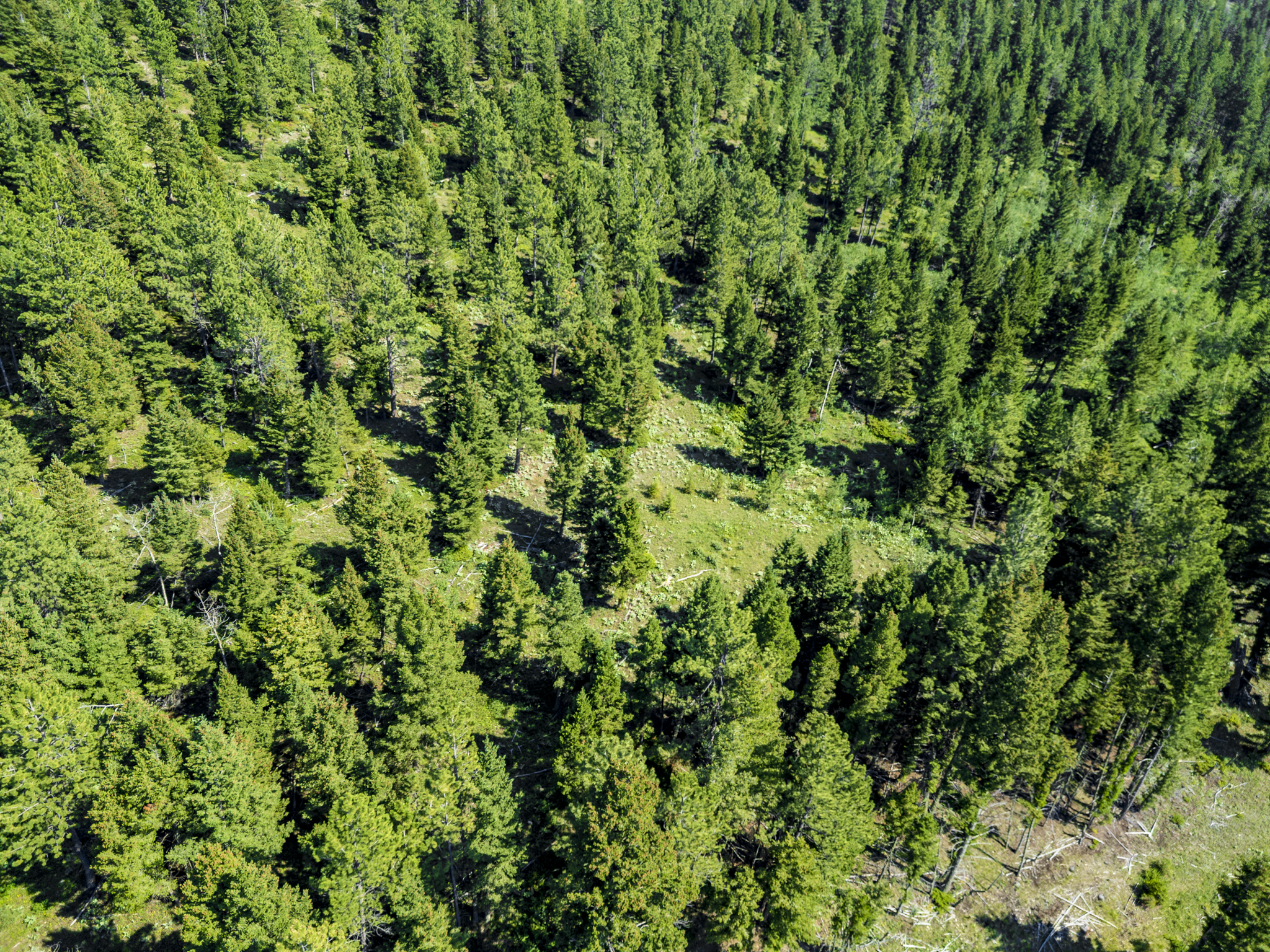 Fergus, MT, Hajenga Drone-15