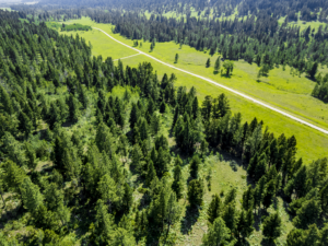 Fergus, MT, Hajenga Drone-16