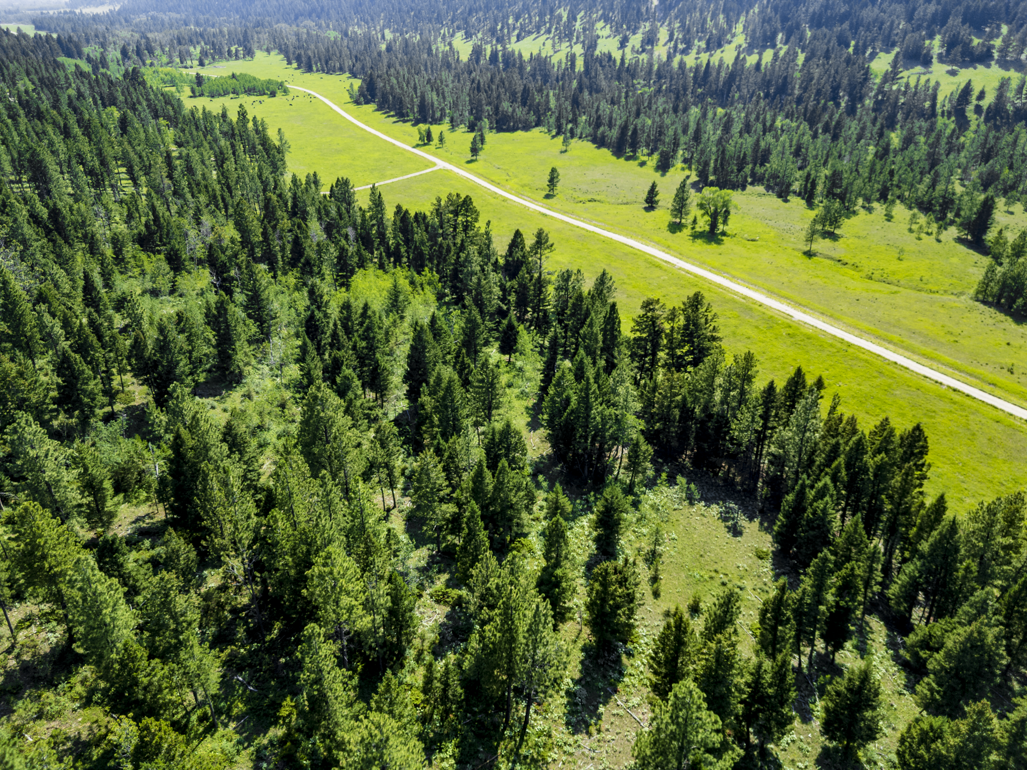 Fergus, MT, Hajenga Drone-16
